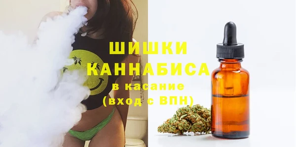 соль ск Абаза