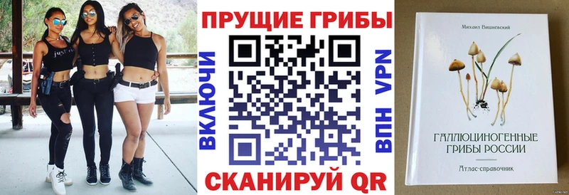 Галлюциногенные грибы GOLDEN TEACHER  Инта 
